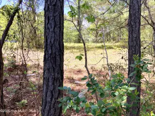 0 Lukeath Carter Drive, Havelock, NC 28532 – photo 7: LCD06