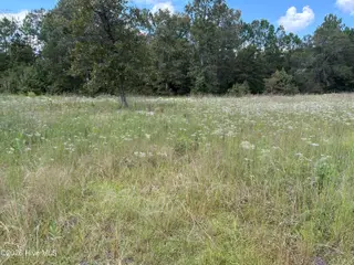 830 1 Benton Road SE, Bolivia, NC 28422 — lot, Bolivia, NC, photo 2 of 5: IMG_4357