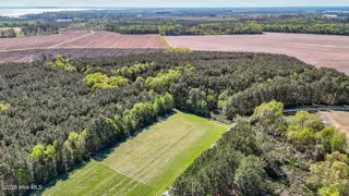 646 N Creek Drive, Belhaven, NC 27810 – photo 3: 4-web-or-mls-DJI_20250409155131_0637_D