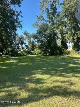 112 N Lee Street, Whiteville, NC 28472 – photo 21: 20250920153359372254000000-o