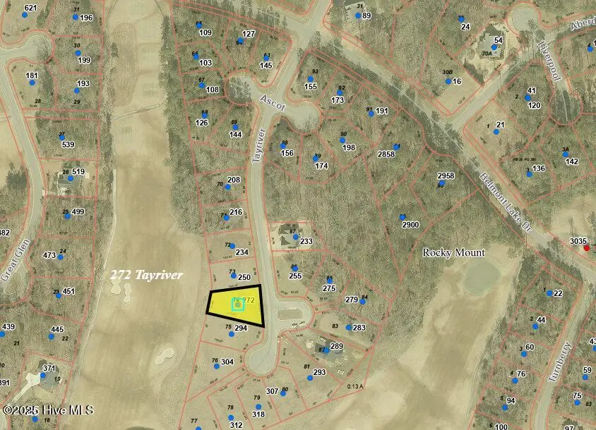 272 Tayriver, Rocky Mount, NC 27804 – photo 1 of 28: 272 tayriver