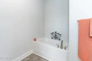 131 White Bark Avenue Lot 16, Rocky Mount, NC 27804 – photo 23: 1830 Bathtub