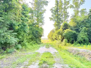 Off Swamp Fox Hwy Highway E, Tabor City, NC 28463 – photo 4: Copy of 23