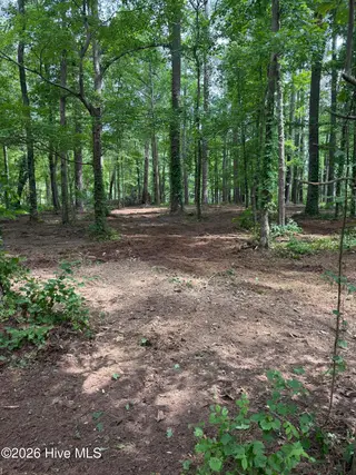 0 94 Winfield Lane, Pinetown, NC 27865 – photo 5: IMG_0573