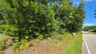 Near 74 Long Leaf Drive, Whiteville, NC 28472 – photo 3: Road frontage