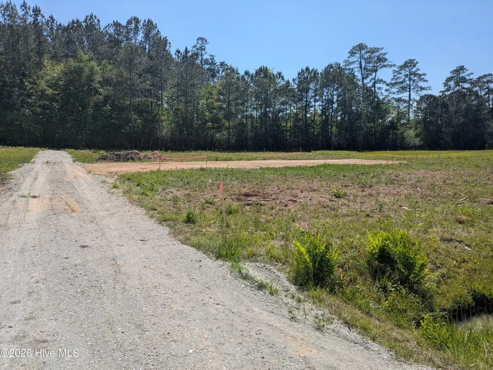 B b Near 101 Willow Drive, Tabor City, NC 28463 – photo 1 of 8: New Drive