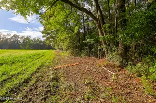 2 515 Porter Swamp Road, Cerro Gordo, NC 28430 – photo 8: 07