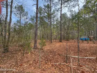 221 Riverview Drive, Vass, NC 28394 – photo 23: IMG_1269