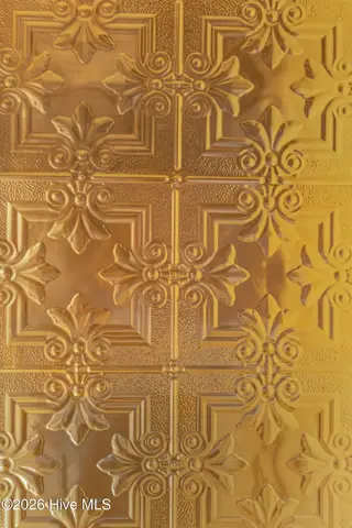128 E Railroad Street, La Grange, NC 28551 – photo 19: beautifu; copper ceiling