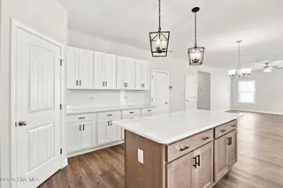 4214 Tinsley Court, Ayden, NC 28513 – photo 18: 37-web-or-mls-IMG_4290-Edited