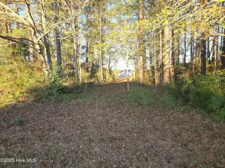 1591 White Oak River Road, Maysville, NC 28555 – photo 12: Land-3