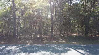 Lot 47 47 Ward Drive, Dudley, NC 28333 – photo 1: DJI_0690
