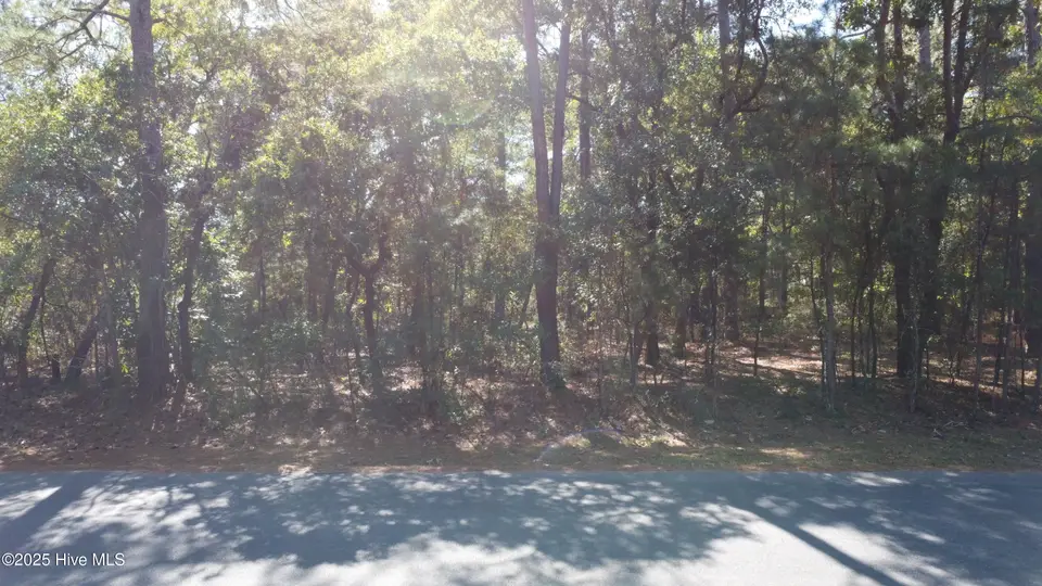 Lot 47 47 Ward Drive, Dudley, NC 28333 – photo 1 of 6: DJI_0690