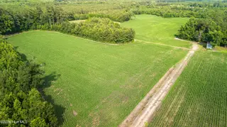 Off Swamp Fox Hwy Highway E, Tabor City, NC 28463 – photo 15: Copy of 1