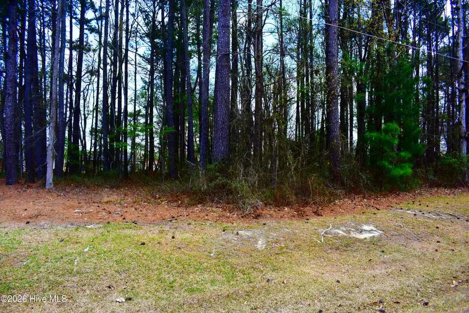 6712 Wood Avenue, Saratoga, NC 27873 – photo 1 of 1: DSC_0186