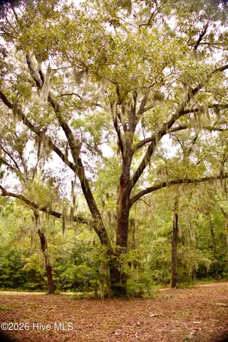 385 Sand Ridge Road, New Bern, NC 28560 – photo 9: IMG_4495
