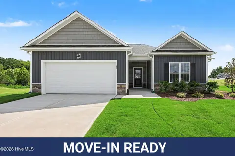46 Fiddleneck Court, Selma