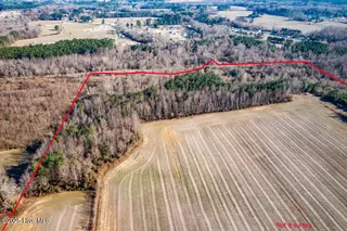 203 Lovick Lane, Washington, NC 27889 – photo 4: Pic 3