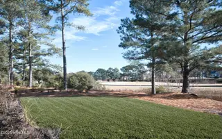 510 Crow Creek Drive NW, Calabash, NC 28467 – photo 14: Backyard 4