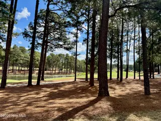 2125 Creswell Drive 2125, Southern Pines, NC 28387 – photo 17: IMG_6248