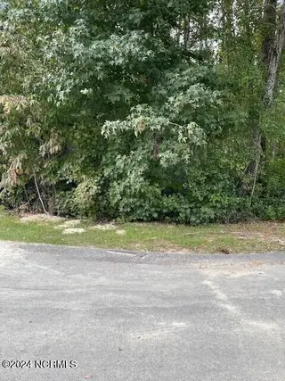 5 62 Raintree Court, Pinehurst, NC 28374 — lot in Pinehurst No. 6, Pinehurst, NC, photo 4 of 4: Liberta 4