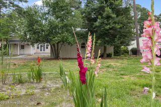 1900 E Mulberry Street, Goldsboro, NC 27530 – photo 6: 5T5A1963 (1)