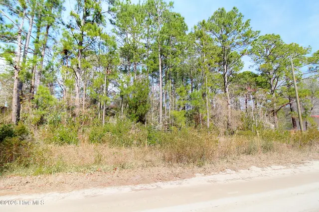 2890 Bird Drive SW, Shallotte, NC 28470