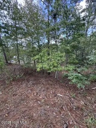 106 Parker Court, West End, NC 27376 – photo 6: 6