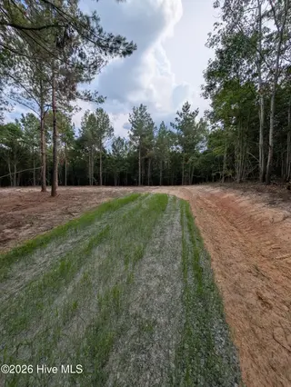 Tbd 2R-3 Peyton Drive, Eagle Springs, NC 27242 – photo 4: PXL_20260707_210649002