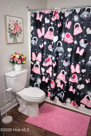 1308 Wanetas Court, Winterville, NC 28590 – photo 19: Alyrica Altered Bathroom