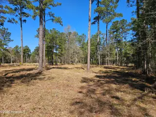 Lot 32 32 Bailey Pointe Drive, Belhaven, NC 27810 – photo 12: 20260319_125454