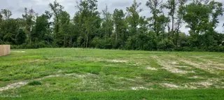 634 Bright Harvest Drive, Maysville, NC 28555 – photo 4: 20250915_135438 (2)