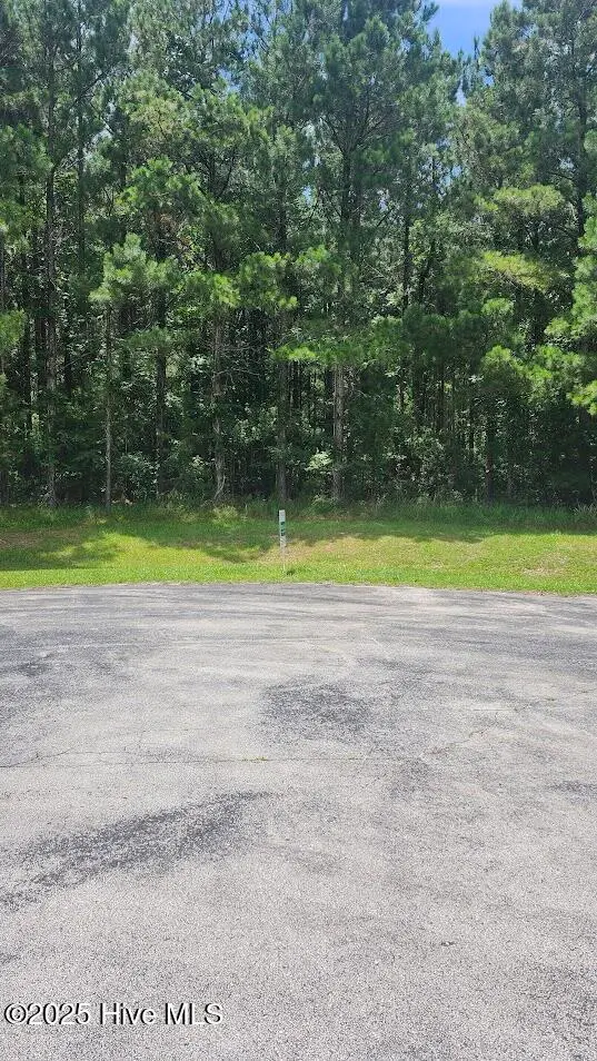 105 Zachary Court, Beaufort, NC 28516 – photo 1 of 5: Looking from Street