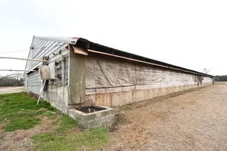1535 Maul Swamp Road, Vanceboro, NC 28586 – photo 10: DSC_1446