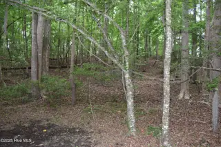 Lot 6 River Road, Blounts Creek, NC 27814 – photo 2: 1 lot photo