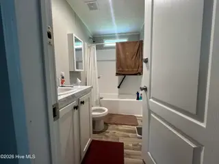 5024 Gladys Owens Street, La Grange, NC 28551 – photo 24: Hallway bathroom