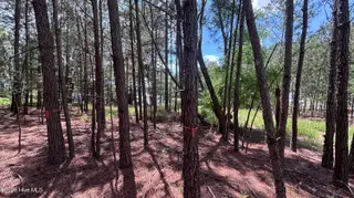 449 Longleaf Drive, West End, NC 27376 – photo 9: IMG_4863
