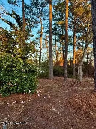 104 Lee Court, Swansboro, NC 28584 – photo 14: IMG_1454