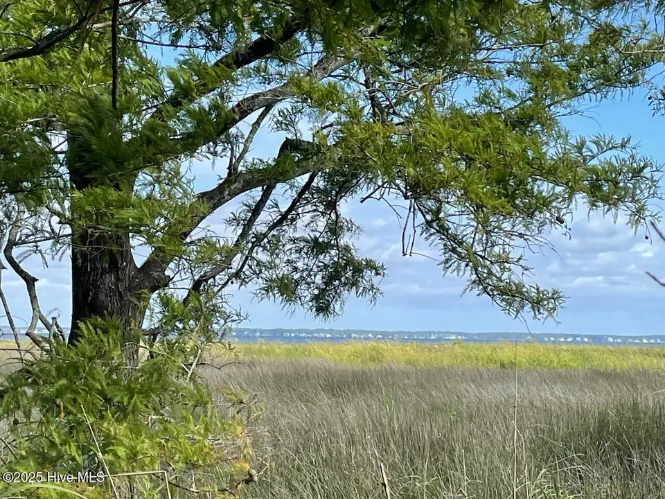 239 98 Garbacon Drive, Beaufort, NC 28516 – photo 1 of 33: IMG_4442 Large