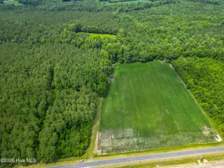 Tbd Farmers Union Road, Clarkton, NC 28433 – photo 3: ClarktonListing_MLS