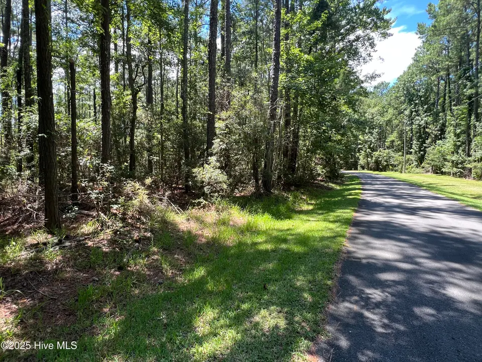 9918 Canady Landing Road, Aurora, NC 27806 – photo 1 of 12: Frontage