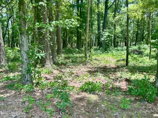 Lot 70 70 Winfield Lane, Belhaven, NC 27810 – photo 10: IMG_6679