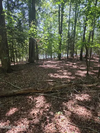 Lot 45b 45B Appaloosa Lake Drive, Carthage, NC 28327 – photo 4: 20260831_125858