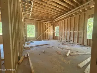 401 Sweet Potato Lane Lot 15, Nashville, NC 27856 – photo 15: primary bedroom