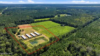 6655 Myrtlehead Road NW, Ash, NC 28420 — lot, Ash, NC, photo 15 of 24: 6655_myrtle_head_rd_010