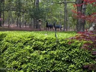 845 Lake Dornoch Drive, Pinehurst, NC 28374 – photo 16: 19