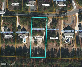 402 Longleaf Drive, West End, NC 27376 – photo 13: 402 Longleaf aerial