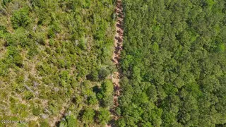 0 7 Guinea Mill Road, Ernul, NC 28527 – photo 4: 4