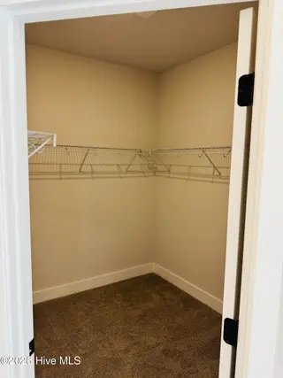 409 S Carey Street Lot 66, La Grange, NC 28551 – photo 14: primary walk in closet