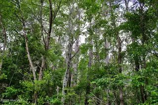001 Old Winberry Road, Newport, NC 28570 – photo 10: DSC_0004
